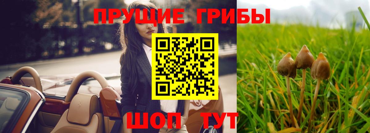 Рыбинск  Галлюциногенные грибы прущие грибы  Псилоцибиновые грибы MAGIC MUSHROOMS  Вход с VPN 